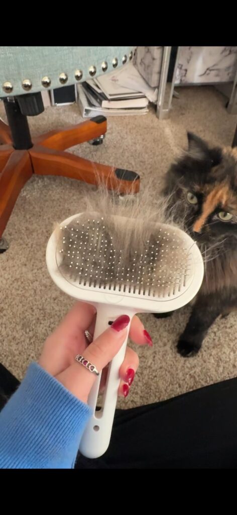 Obrazek #1 z Kornelia