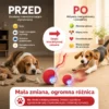 PupilGo. Bezpieczna zabawa nawet wtedy, gdy Cię nie ma.