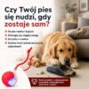 PupilGo. Bezpieczna zabawa nawet wtedy, gdy Cię nie ma.