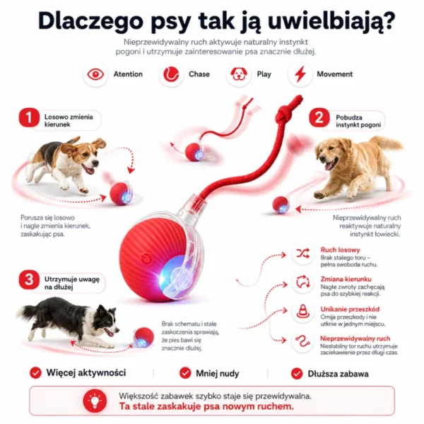 PupilGo. Bezpieczna zabawa nawet wtedy, gdy Cię nie ma.