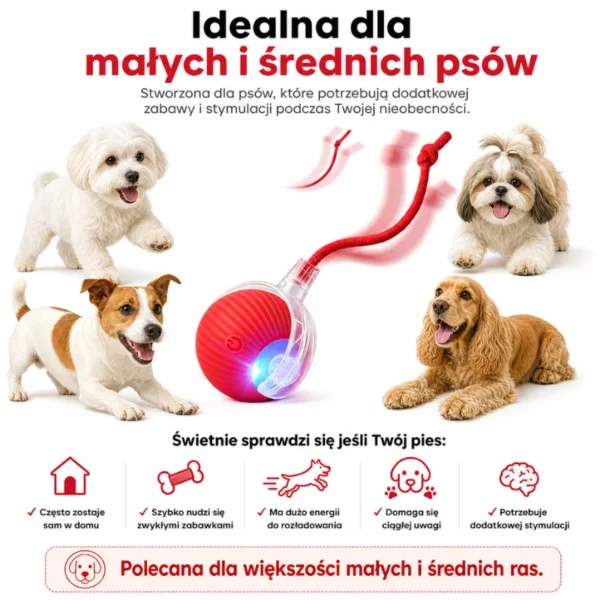 PupilGo. Bezpieczna zabawa nawet wtedy, gdy Cię nie ma.